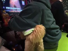 -锦凤凰量贩KTV(劳动南路店)