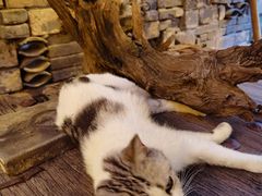 -甲乙丁書店·书茶咖·四合院