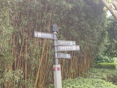 -重庆园博园