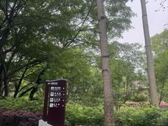 -柳侯公园