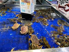 -盒马鲜生(新都心店)