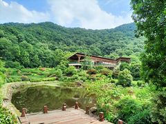 -桃花岭景区