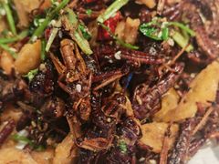 -第一家驴肉(红木城店)