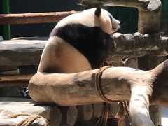 -灵玲国际马戏城