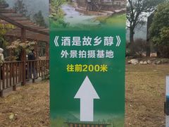 -姑婆山旅游区
