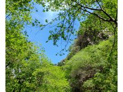 -北京上方山国家森林公园