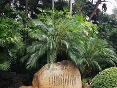 -柳侯公园