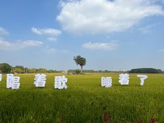 -嘉北郊野公园