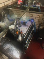 -明星刺青·洗纹身