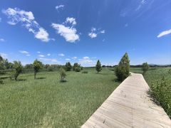 -野鸭湖国家湿地公园