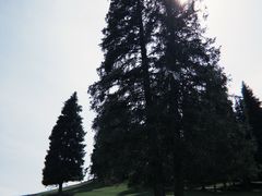 -小渠子旅游区