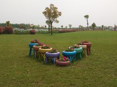 -明珠湖天鹅苑·农家菜馆