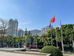 -希尔顿南海酒店·观廊大堂吧·海景下午茶