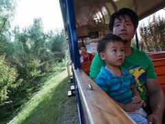 -永定河休闲森林公园