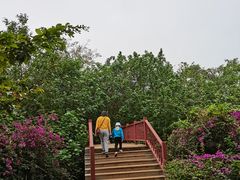-白沙门生态公园