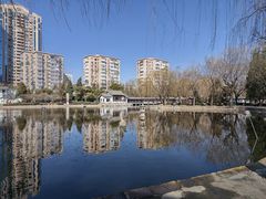 -团结湖公园