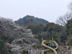 -杭州少年儿童公园