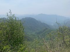 -大岭沟猕猴桃谷风景区