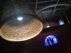 大堂-哥老官重庆美蛙鱼头(西湖银泰十一哥店)