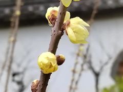 -国家植物园