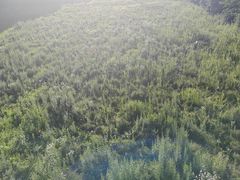 -长白山万达锦华套房酒店