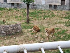 -西安秦岭野生动物园
