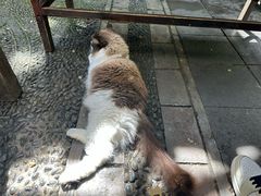 -吃货私房菜(丽江束河古镇店)