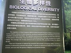 -房山世界地质公园博物馆
