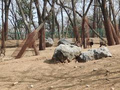 -秦皇岛野生动物园