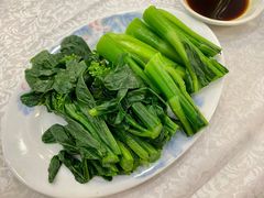 -沙田新强记烧鹅海鲜酒家