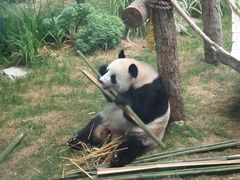 -大连森林动物园