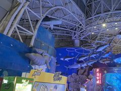 -烟台海昌鲸鲨海洋公园