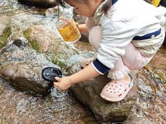 -重庆彩云湖湿地公园