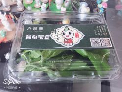 -太湖雪蚕桑文化园