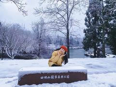 -四明山国家森林公园