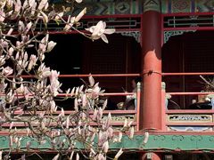 -潭柘寺景区