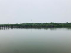 -西青郊野公园