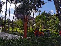 -南诏风情岛