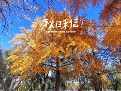 -日本风情街