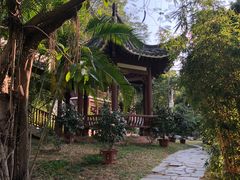 -深圳国际园林花卉博览园