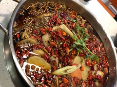 -味之绝热血美蛙鱼火锅(中坝店)