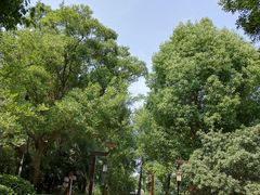 -天目湖涵田半山温泉