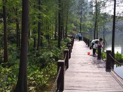 -重庆彩云湖湿地公园