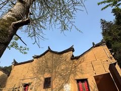 -杨家堂村