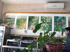 大堂-简心素爱素食自助餐厅