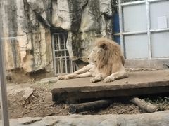 -南宁市动物园