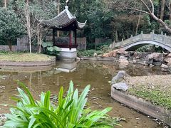 -深圳国际园林花卉博览园