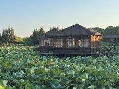 -军山湖云水间生态农业旅游景区