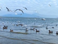 -深圳湾公园(南山区)