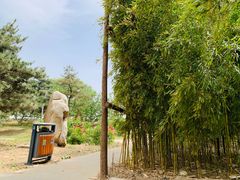 -大兴滨河森林公园